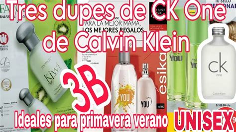 calvin klein dupes|calvin klein official website.